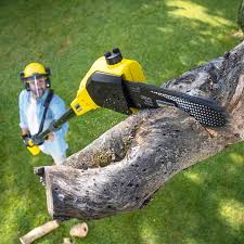 Best Organic Lawn Care Solutions  in Marietta Alderwood, WA